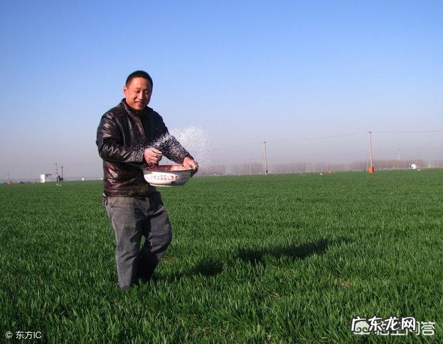 农村俗语“惊蛰不耕地,好似蒸馍跑了气”是什么意思?有什么道理吗?