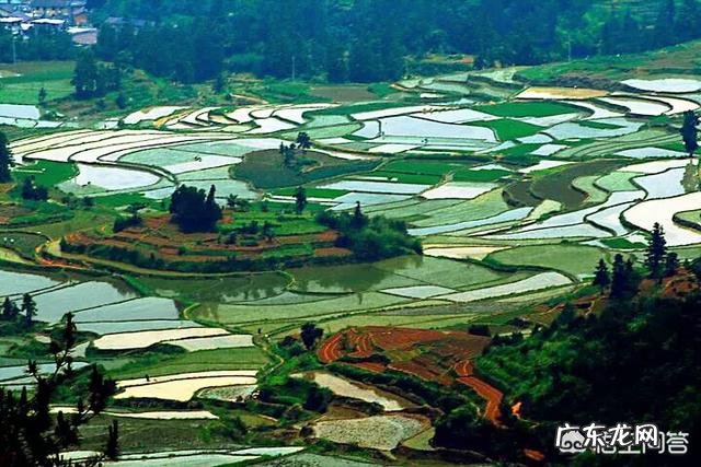 农村俗语“惊蛰不耕地,好似蒸馍跑了气”是什么意思?有什么道理吗?