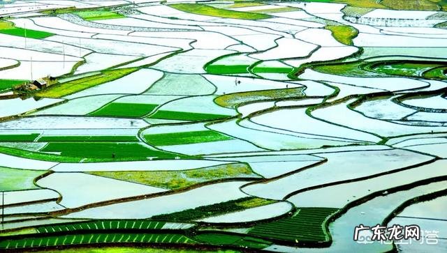 农村俗语“惊蛰不耕地,好似蒸馍跑了气”是什么意思?有什么道理吗?