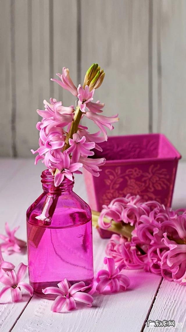 上联:对联需平仄,怎么对下联?