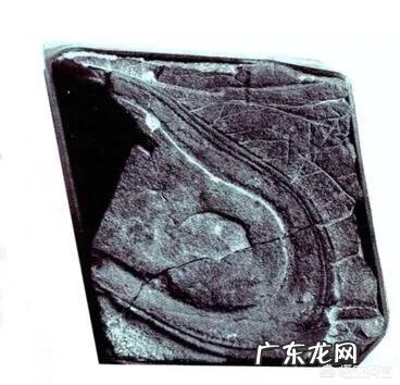 两亿年前留在地球上的大脚印坑真的是巨人留下的吗?对此你有什么看法?