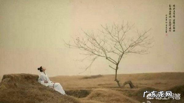 什么是诗歌的意象，要怎么理解呢？