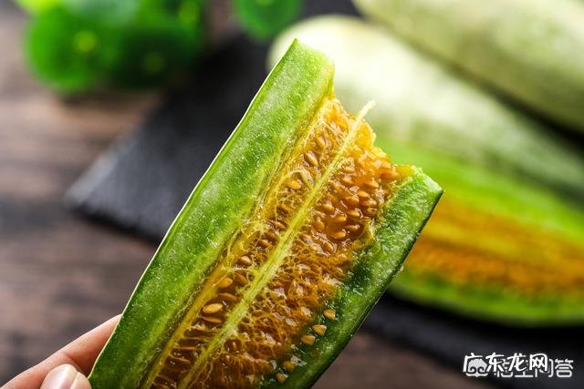 羊角甜瓜在什么时候种植比较好?