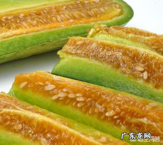 羊角甜瓜在什么时候种植比较好?