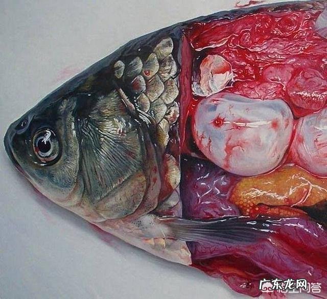 考研的专业应该怎么选?