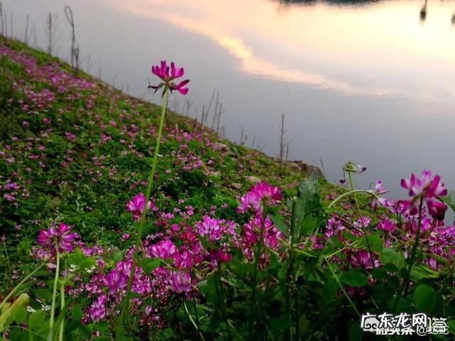 关于清明的诗词有哪些?你最喜欢的是哪首?