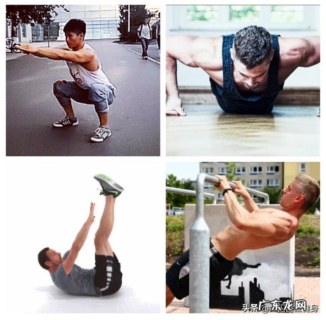 深蹲、仰卧起坐、俯卧撑、卷腹、分别可以锻炼哪些部位的肌肉？这些是不是健身经典动作？