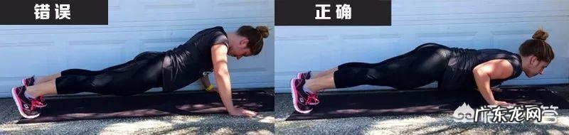 深蹲、仰卧起坐、俯卧撑、卷腹、分别可以锻炼哪些部位的肌肉?这些是不是健身经典动作?