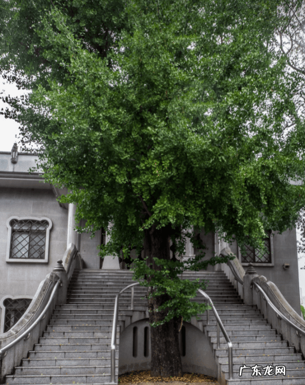 我的世界455种子 我的世界0154版本