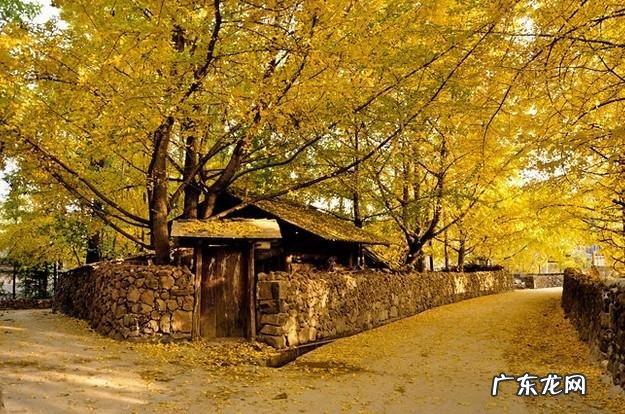 我的世界455种子 我的世界0154版本