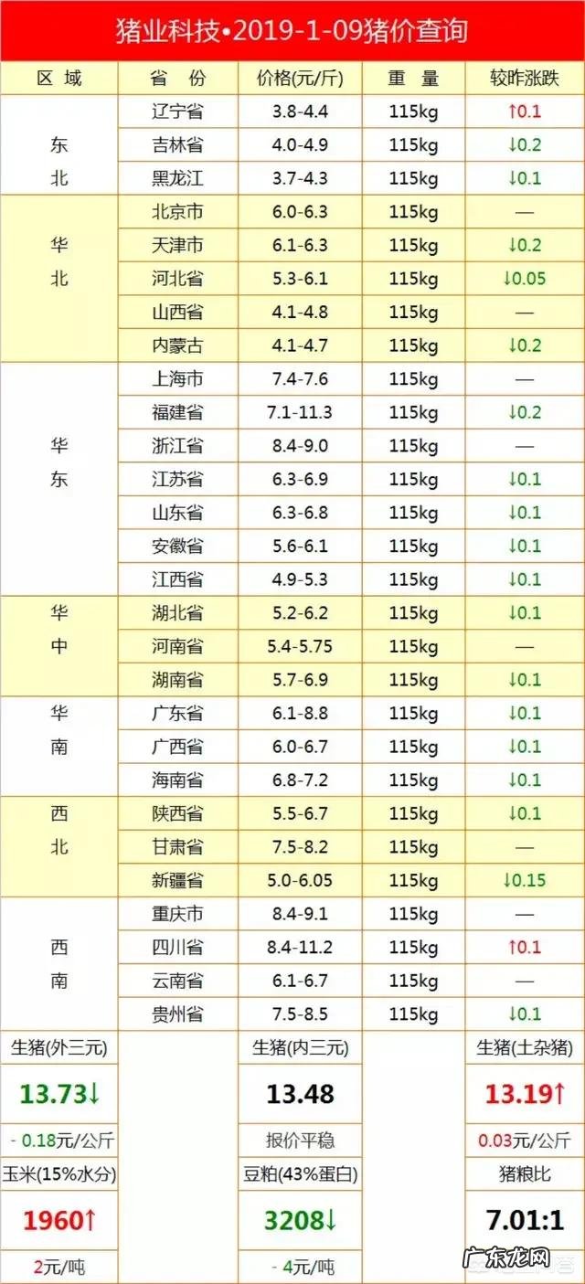 农历新年进入“倒计时”，生猪价格还能涨吗？