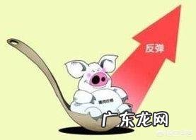 农历新年进入“倒计时”,生猪价格还能涨吗?