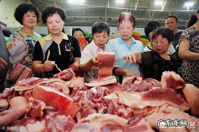 农历新年进入“倒计时”,生猪价格还能涨吗?