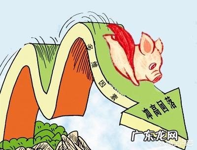 农历新年进入“倒计时”,生猪价格还能涨吗?