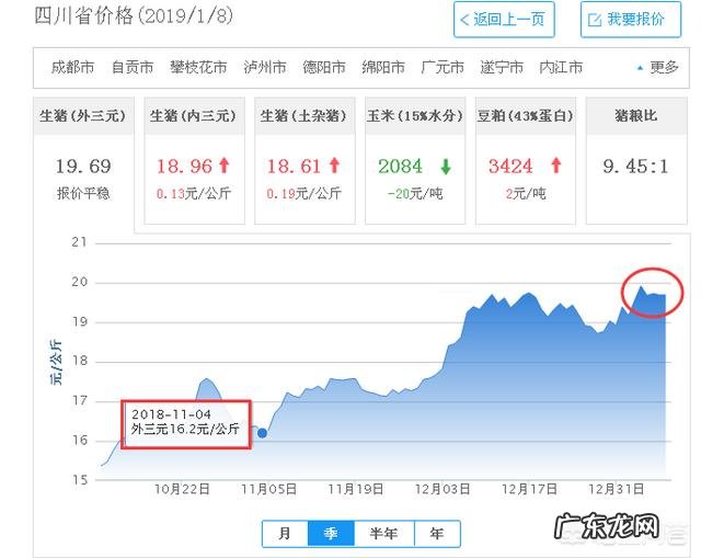 农历新年进入“倒计时”,生猪价格还能涨吗?