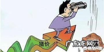 农历新年进入“倒计时”,生猪价格还能涨吗?