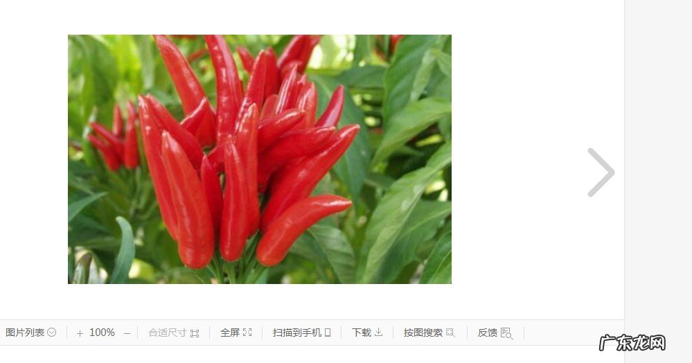 酸甜辣椒的腌制方法