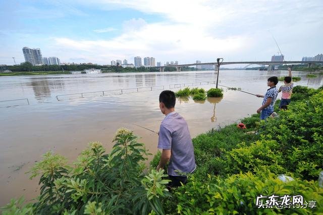 为什么刮南风不好钓鱼?