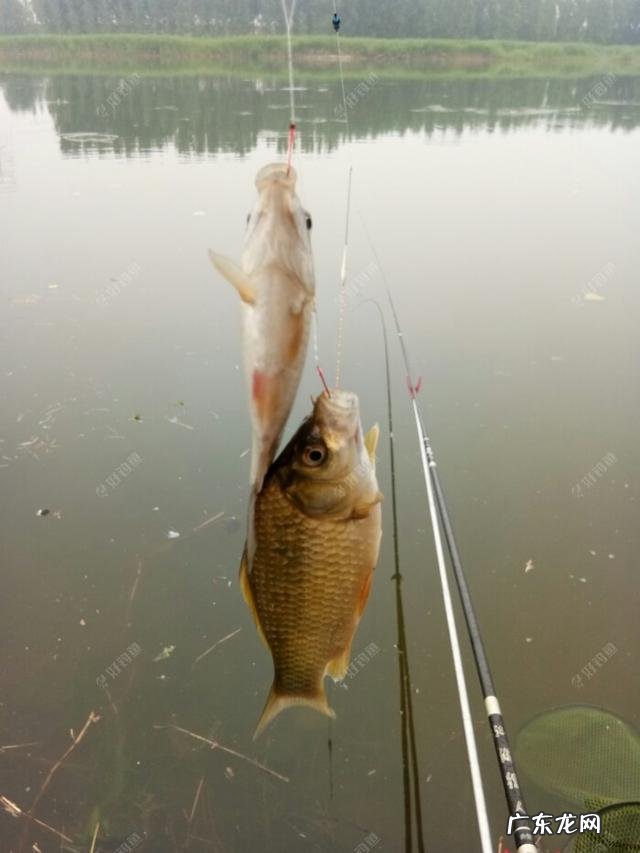 为什么刮南风不好钓鱼？