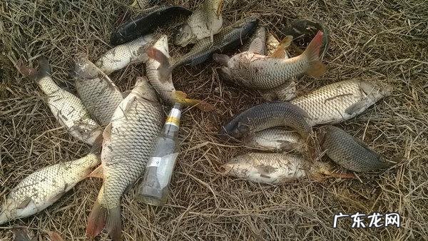 为什么刮南风不好钓鱼？