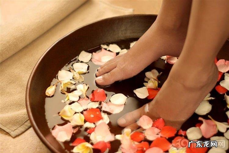 艾叶泡脚有什么好处和作用 长期艾叶泡脚的功效与作用