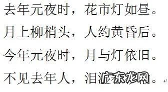 元宵节的古诗词有哪些 元宵节古诗词2句