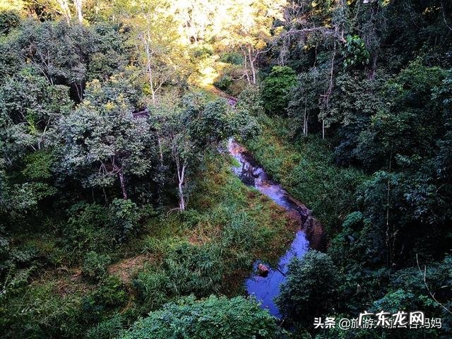 快放寒假了,计划带孩子出门旅游,哪里最值得孩子去?