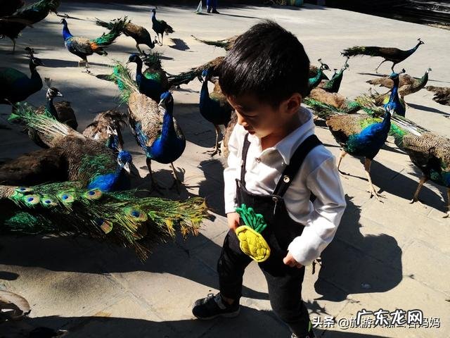 快放寒假了,计划带孩子出门旅游,哪里最值得孩子去?