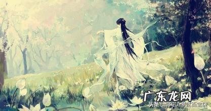 你记得哪些诗意的歌词?