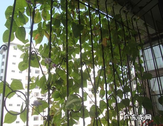 房子不住风水起作用吗 老宅长时间不住人 风水