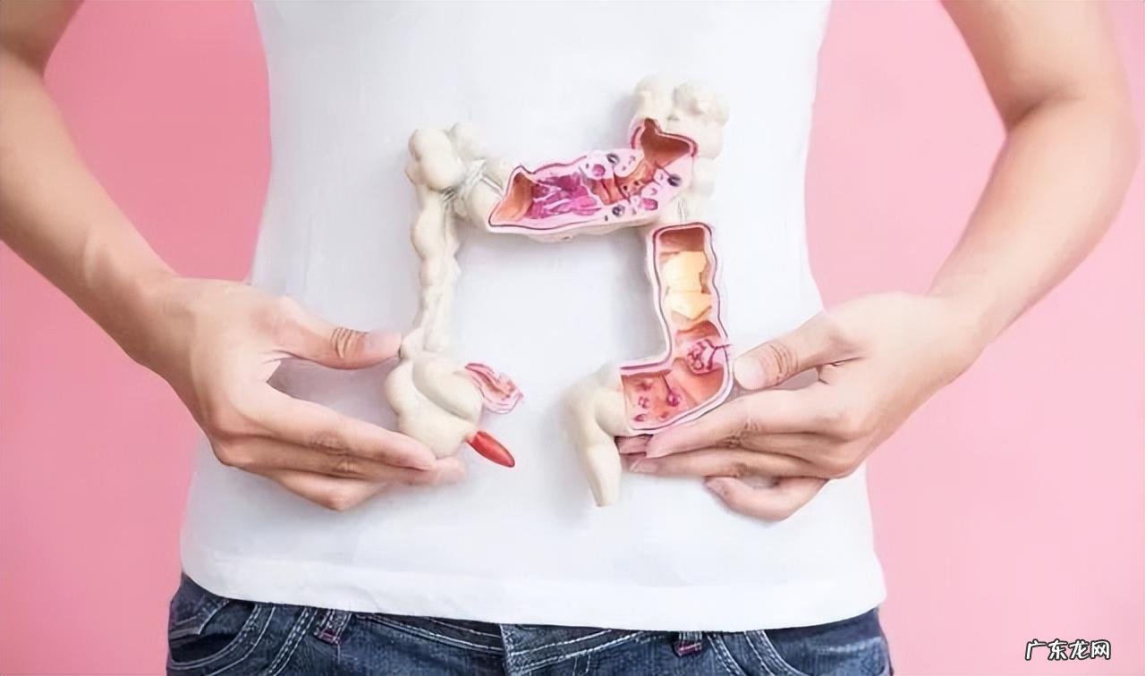 肠道怎么调理更健康 肠道不好怎么调理?