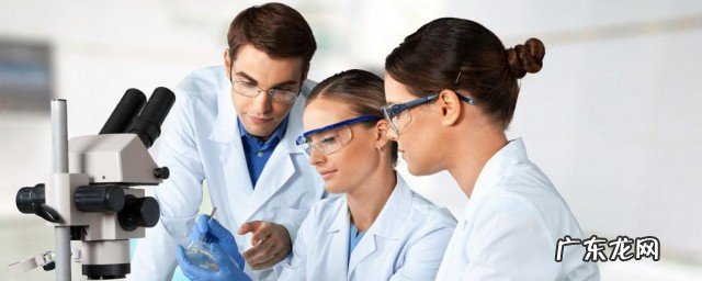 硫酸亚铁怎么制作