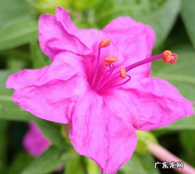 现代诗的意象和古体诗的意境有什么区别?