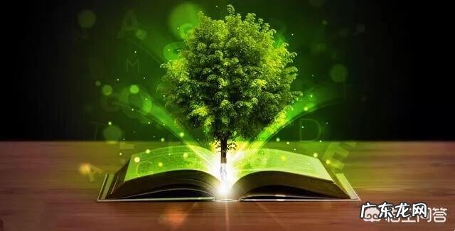 你认为学习的方法重要还是坚持到底重要？为什么？