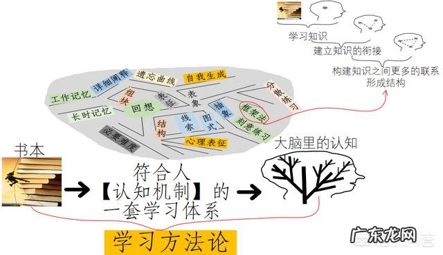 你认为学习的方法重要还是坚持到底重要？为什么？