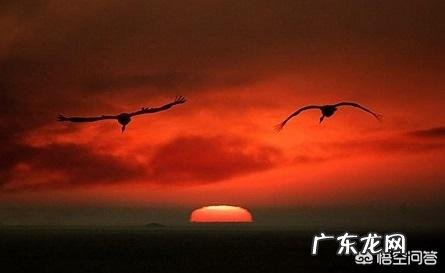 什么样的女人值得去珍惜?