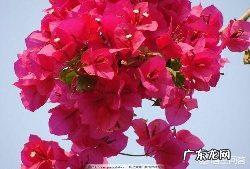 什么样的女人值得去珍惜?