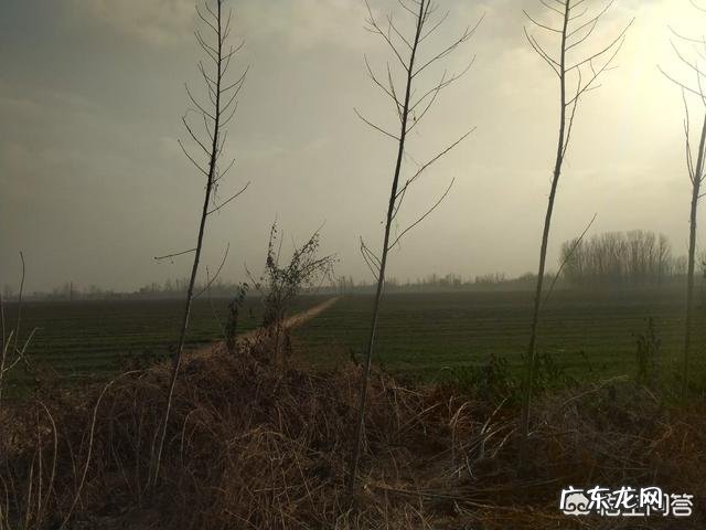 18年秸秆禁烧了，你们那还有雾霾吗？