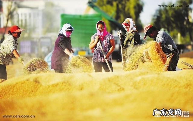 18年秸秆禁烧了，你们那还有雾霾吗？