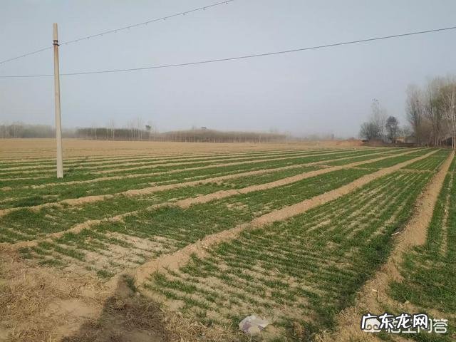 18年秸秆禁烧了，你们那还有雾霾吗？