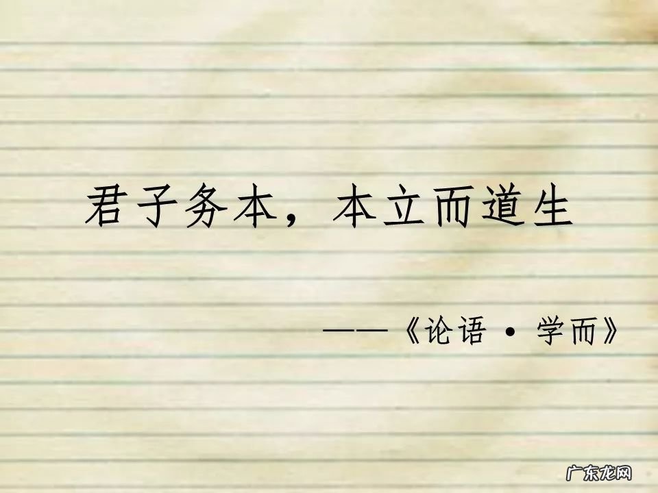 高中信息技术说课课件 高中信息技术课件免费下载