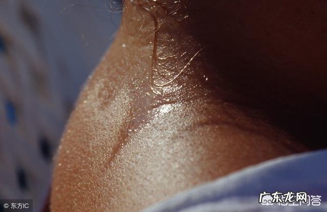 什么茶可以祛湿?