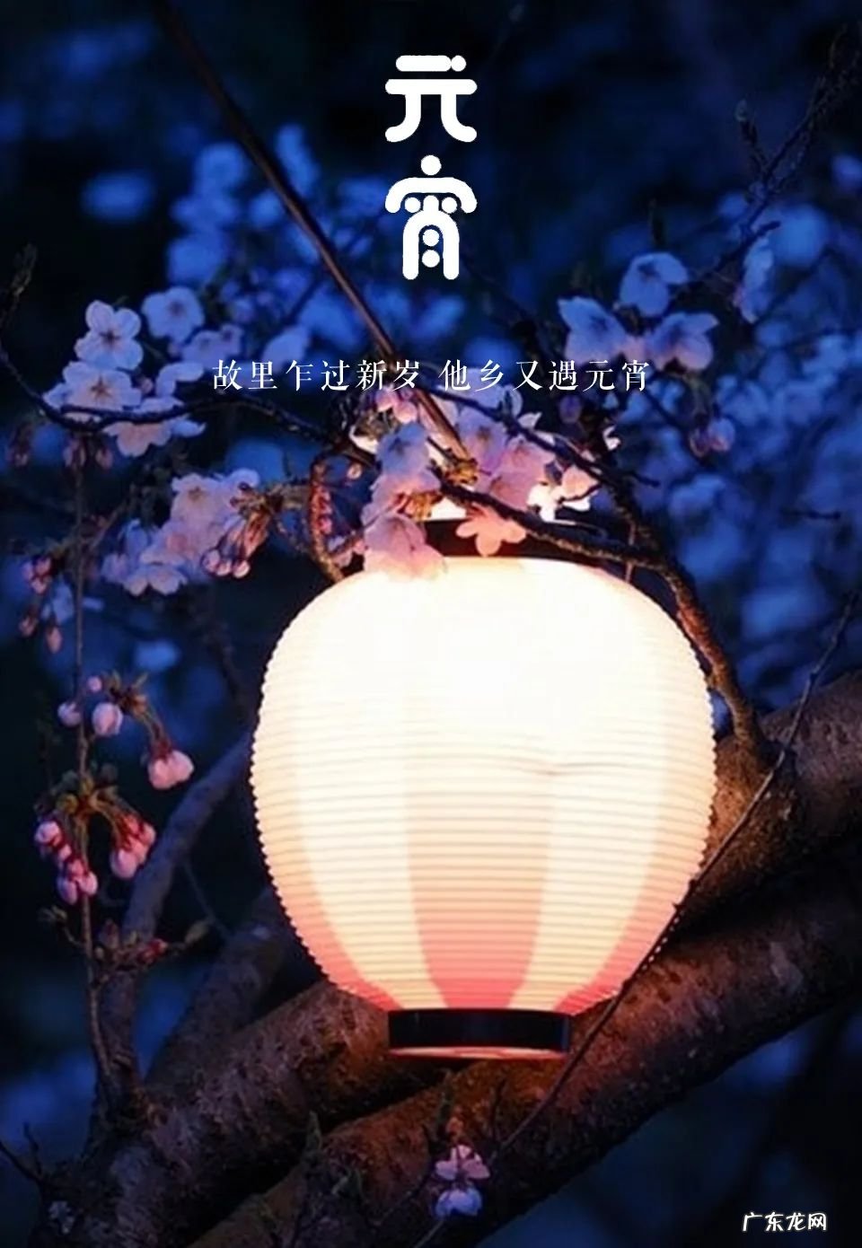 元宵节素材图片 元宵节的图片真实