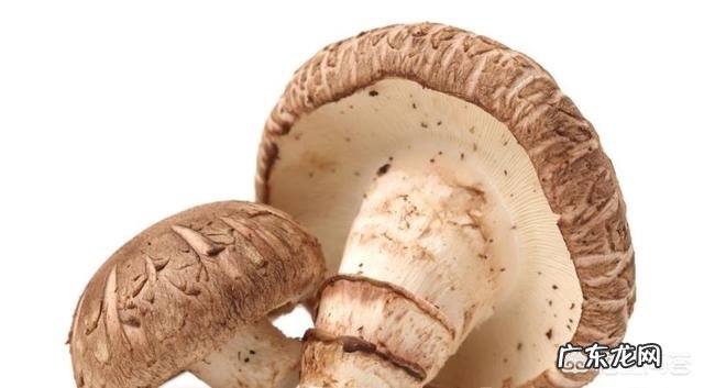 维生素b3有哪些功效?