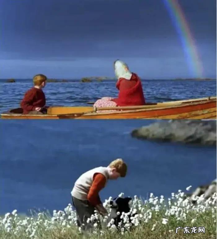 艾丹东张西望讲的什么 艾丹奎因