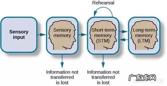为什么做过的梦醒来后会立马不记得？