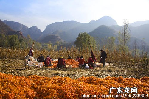 “屋后有靠生万福,田边有靠苦农夫”,说的是啥意思? 房子后面有坡风水