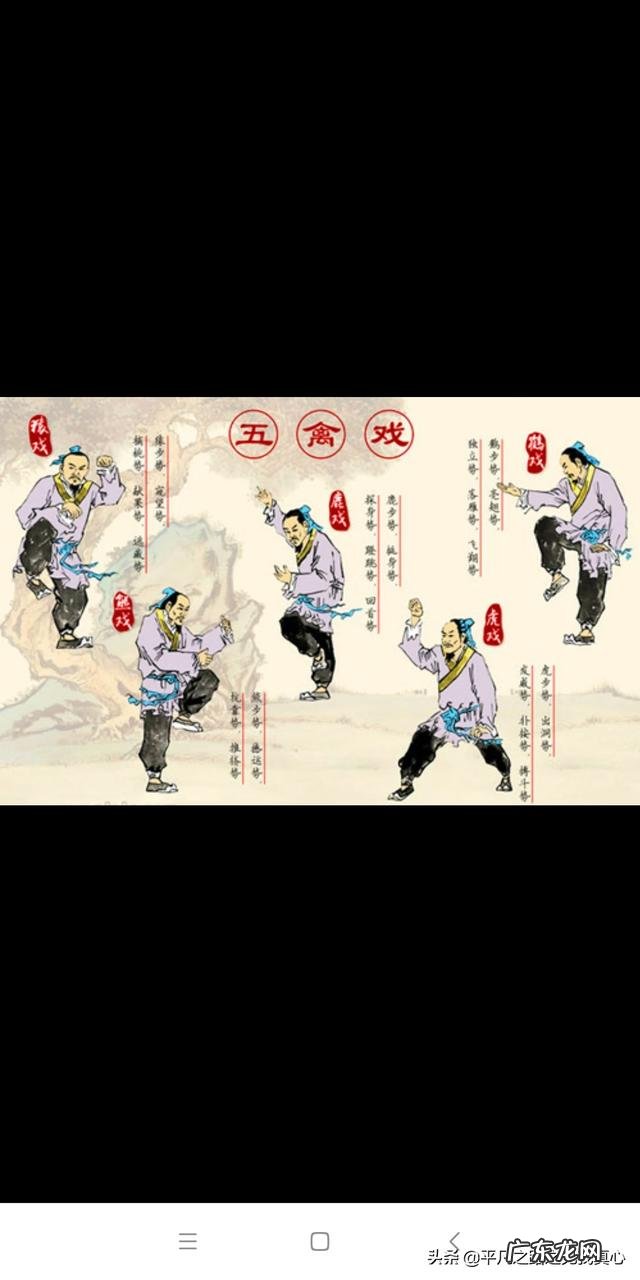 五禽戏、八段锦等养生操有养生的效果吗?