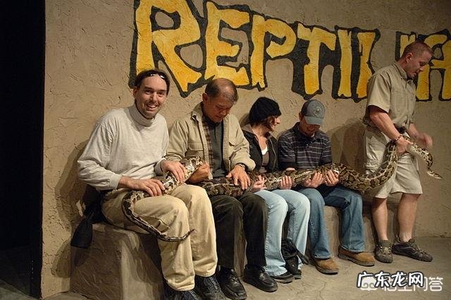 蛇最大能长到多大?