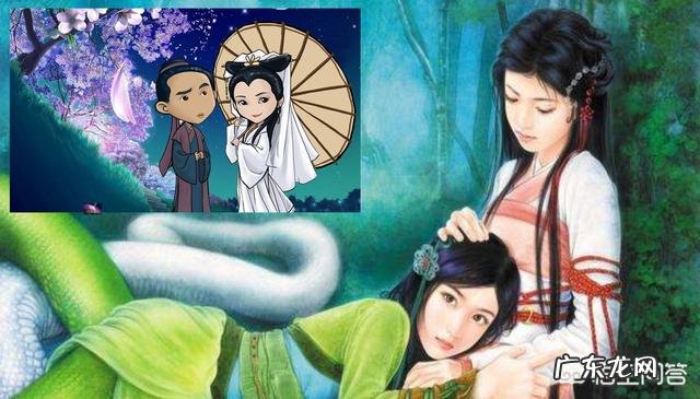 蛇最大能长到多大?